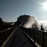 Il Vento E La Ginestra