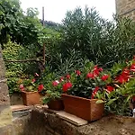 Il Vento E La Ginestra Bagnoregio
