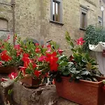 Il Vento E La Ginestra