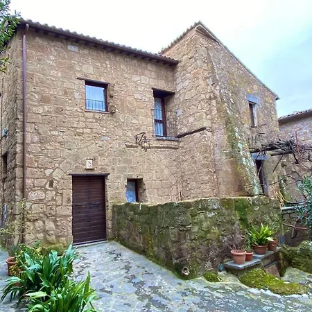 Il Vento E La Ginestra *