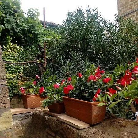 Il Vento E La Ginestra Bagnoregio