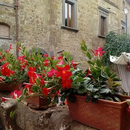 Il Vento E La Ginestra