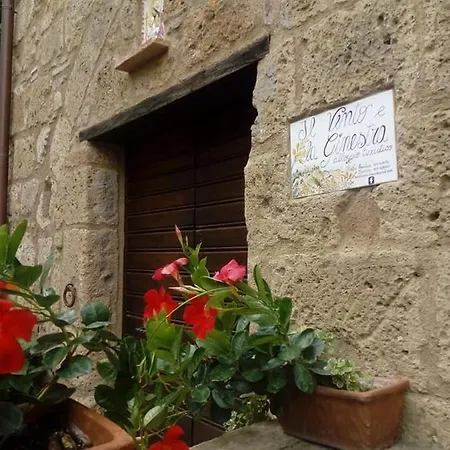Il Vento E La Ginestra *