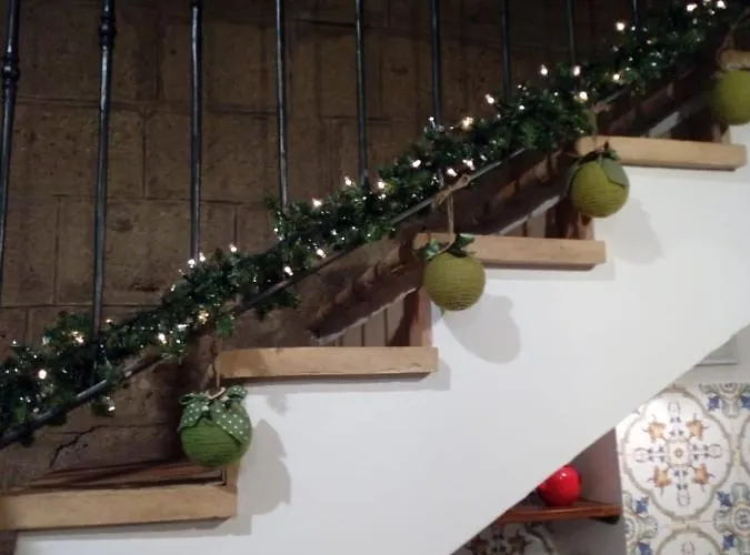 Il Vento E La Ginestra Bagnoregio