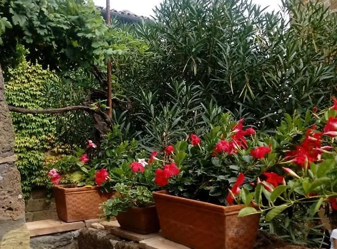 Il Vento E La Ginestra Bagnoregio