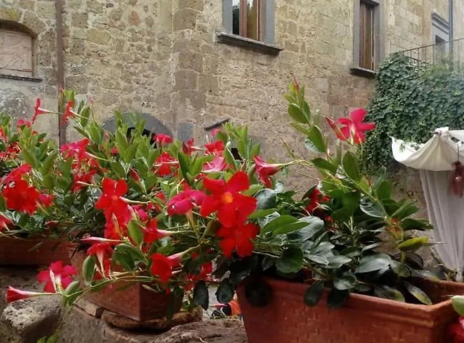 Il Vento E La Ginestra