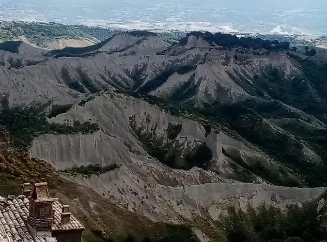Il Vento E La Ginestra *