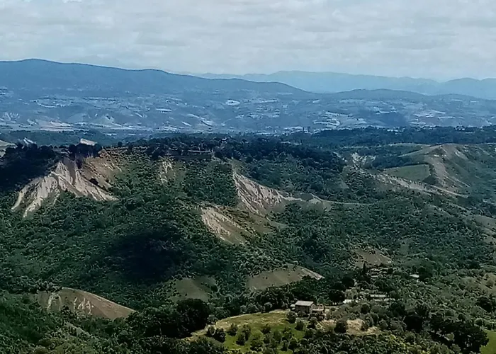 Il Vento E La Ginestra