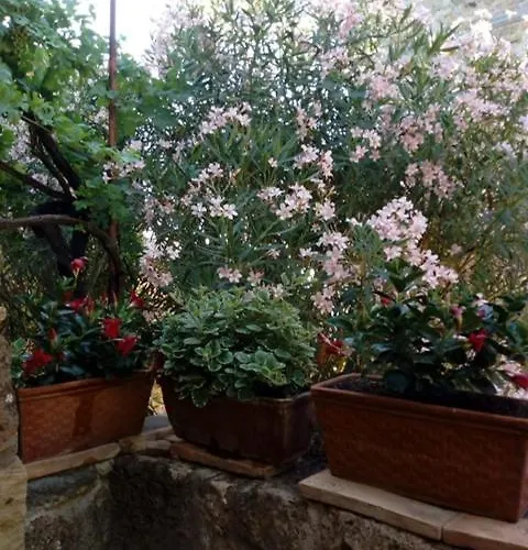 Il Vento E La Ginestra *